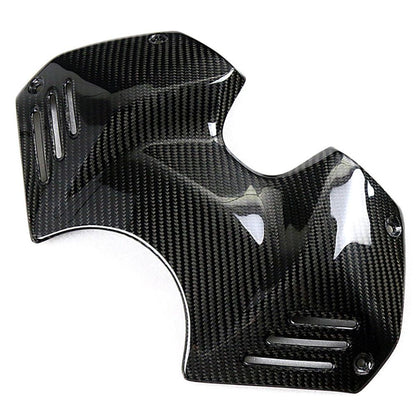 Ducati Panlgale V4 V4S Carbon Fiber 18 20