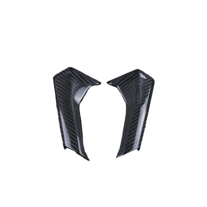 Ducati Panlgale V4 V4S Carbon Fiber 18 20