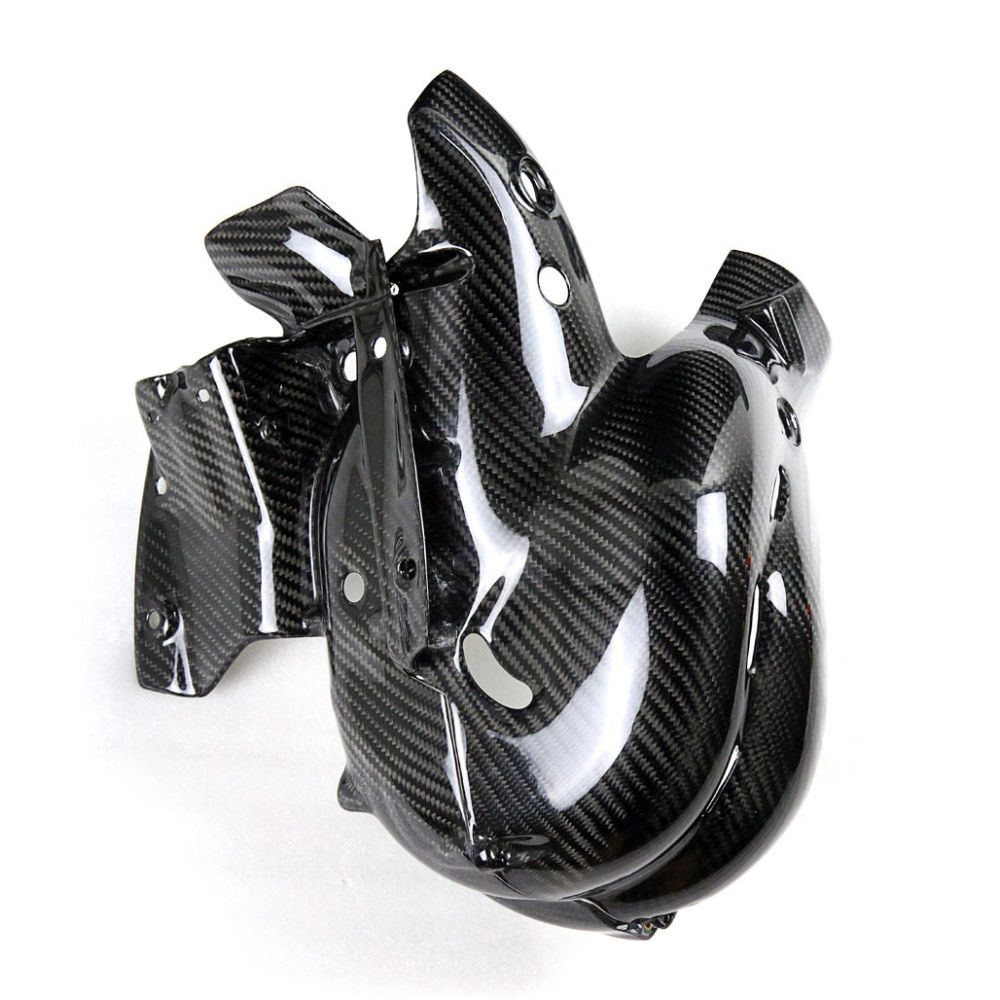 Ducati Panlgale V4 V4S Carbon Fiber 18 20