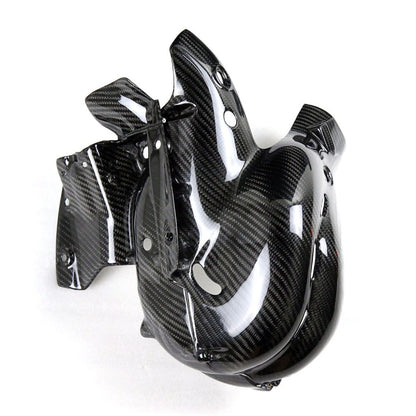 Ducati Panlgale V4 V4S Carbon Fiber 18 20