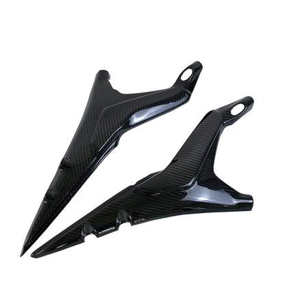 Ducati Panlgale V4 V4S Carbon Fiber 18 20
