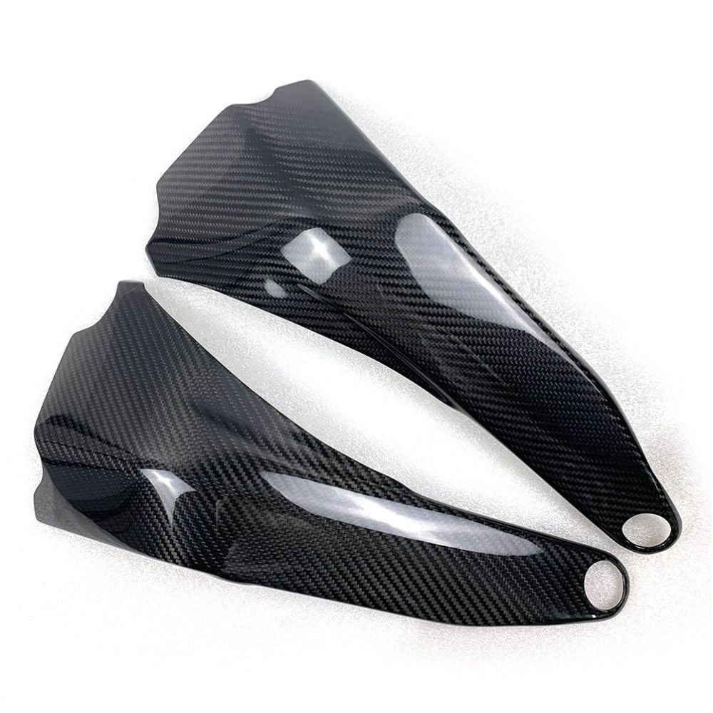 Ducati Panlgale V4 V4S Carbon Fiber 18 20