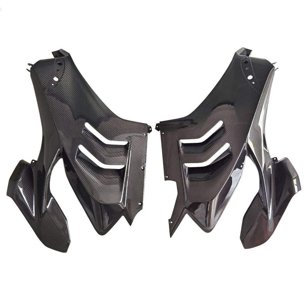 Ducati Panlgale V4 V4S Carbon Fiber 18 20