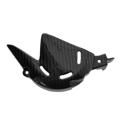 Ducati Panlgale V4 V4S Carbon Fiber 18 20