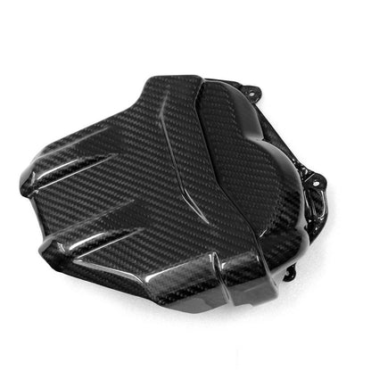 Ducati Panlgale V4 V4S Carbon Fiber 18 20