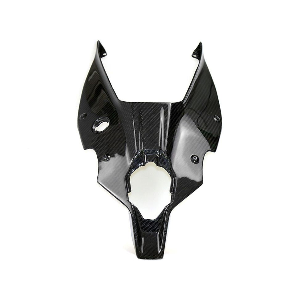 Ducati Panlgale V4 V4S Carbon Fiber 18 20