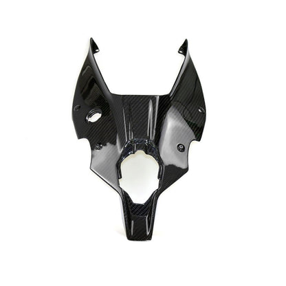Ducati Panlgale V4 V4S Carbon Fiber 18 20