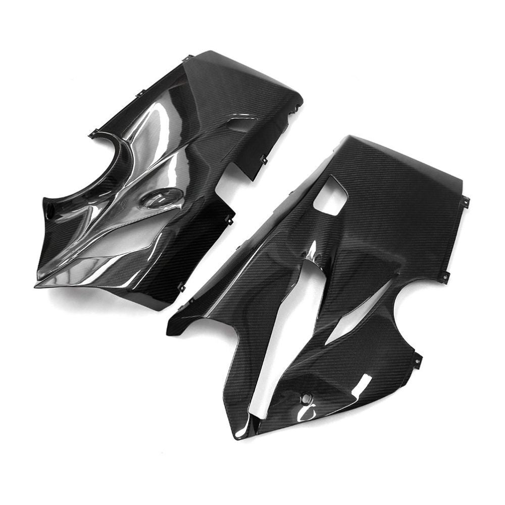 Ducati Panlgale V4 V4S Carbon Fiber 18 20