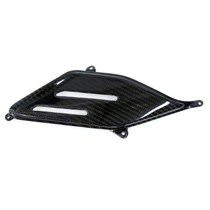 Ducati Panlgale V4 V4S Carbon Fiber 18 20