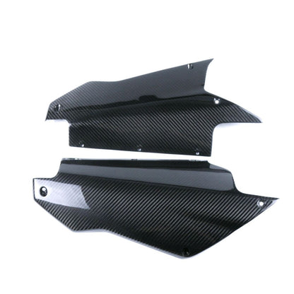 Aprilia RS660 Carbon fiber 20-24