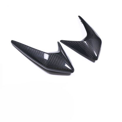 Triumph Street Triple 765RS Carbon Fiber 23-26