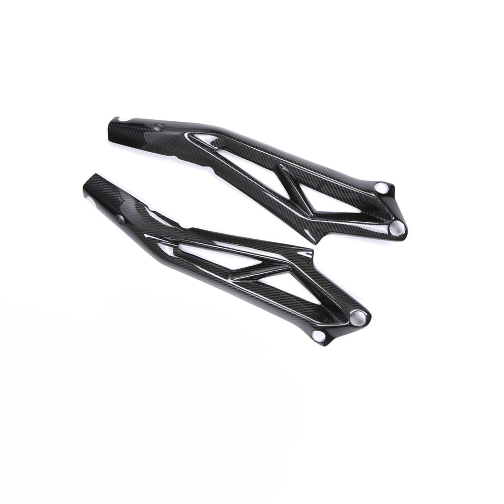 Triumph Street Triple 765RS Carbon Fiber