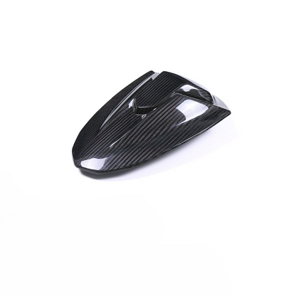 Triumph Street Triple 765RS Carbon Fiber 23-26