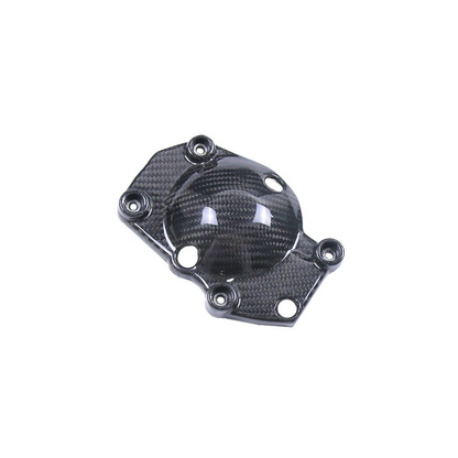 Triumph Street Triple 765RS Carbon Fiber 23-26