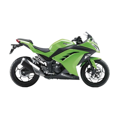 Kawasaki Ninja 300 Fairing Kit 13 - 22