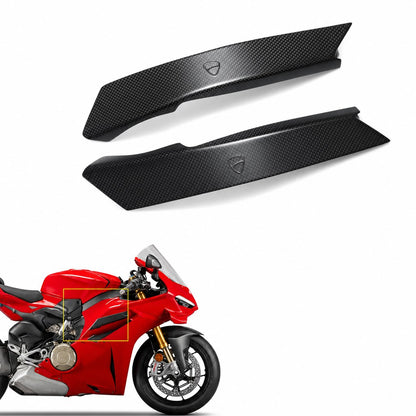 Ducati Panigale V4 V4S Dry Carbon Fiber 25